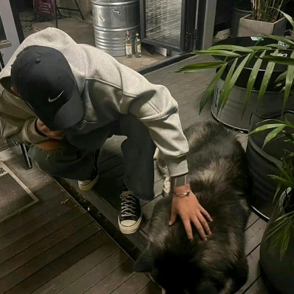 向阳花
