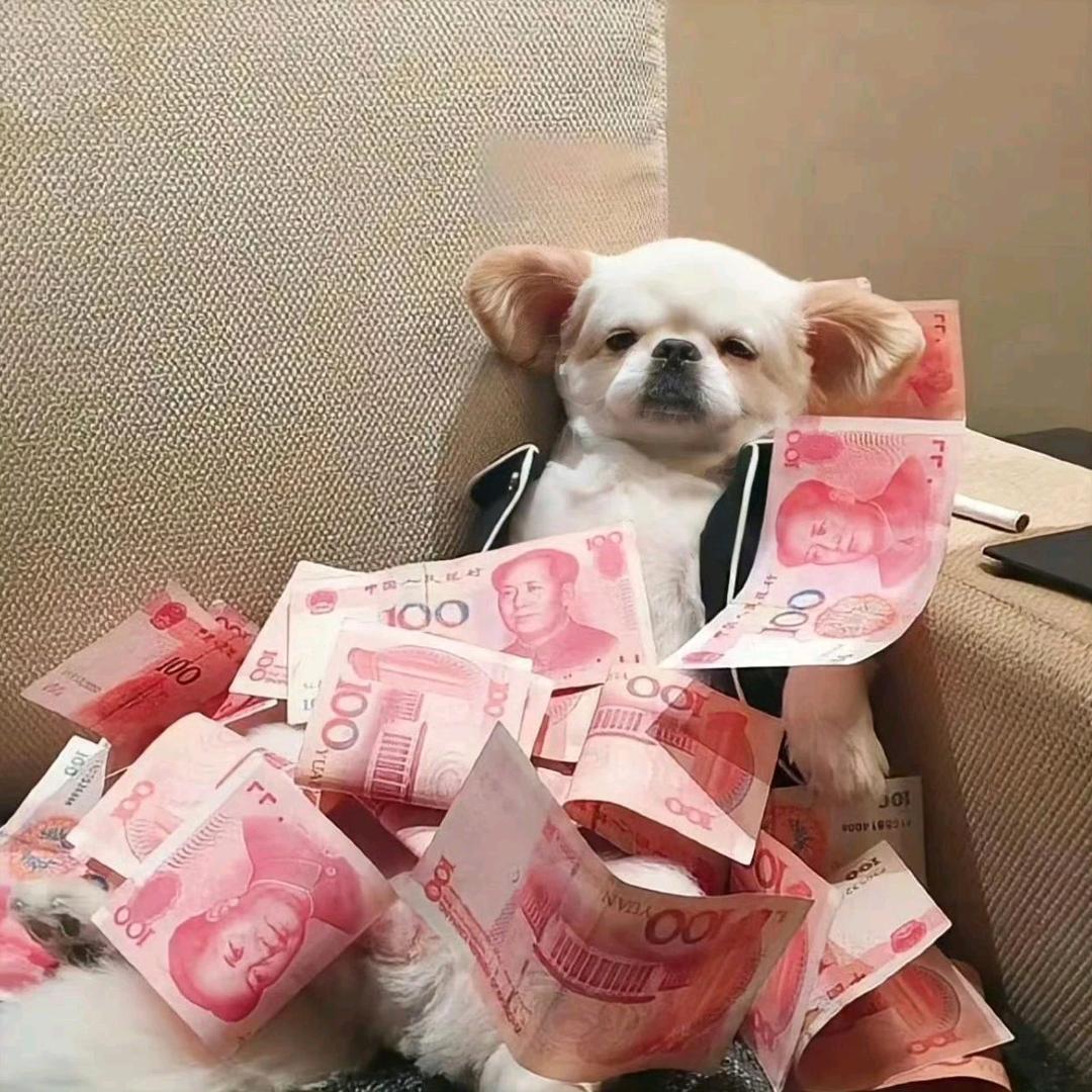 柒