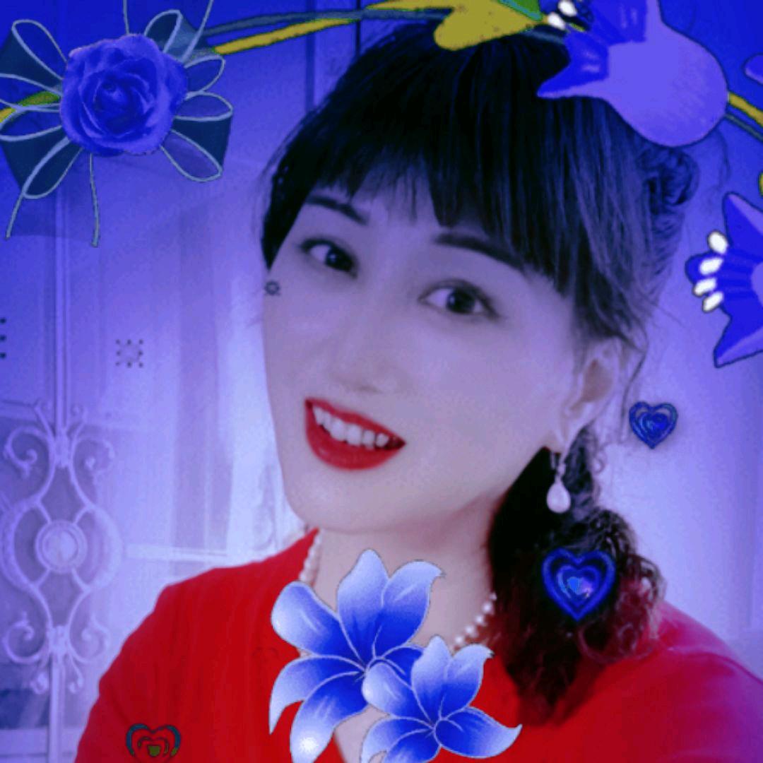 梅花的梅