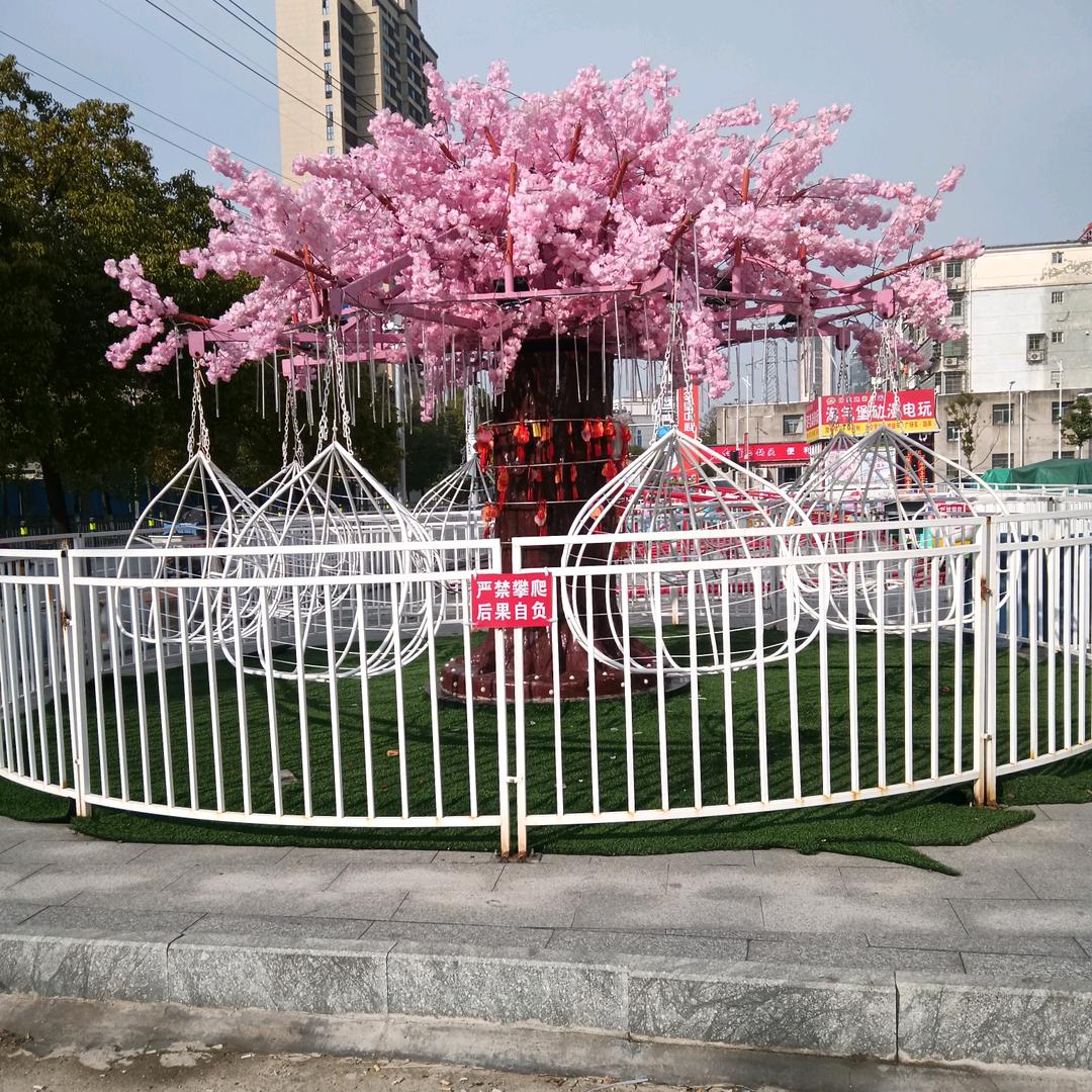 小龚🌷🌷🌺🌸☀