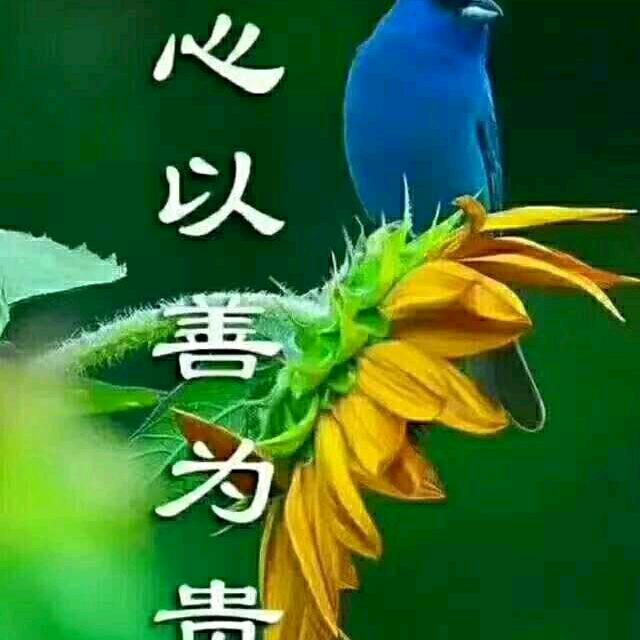 农资哥