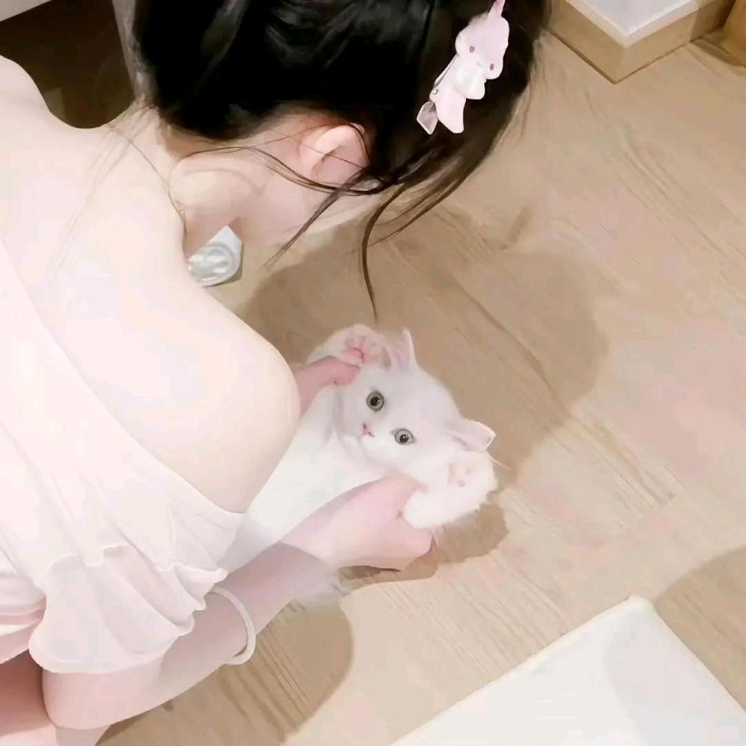 与冬棠软