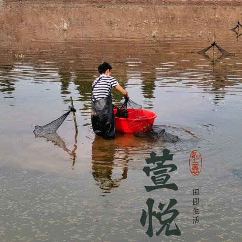 萱悦农业