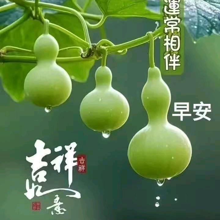 情为何物？