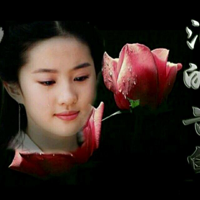 冬天的玫瑰🌹🌹🌹🌹
