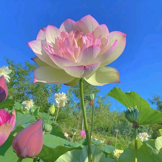 与你无关