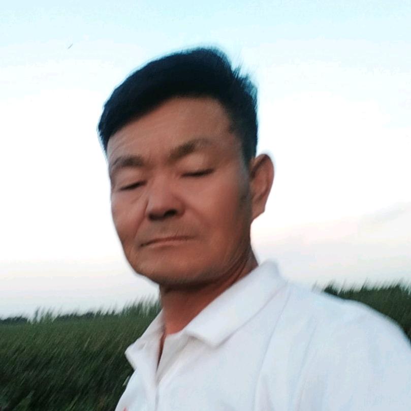 新疆老赵