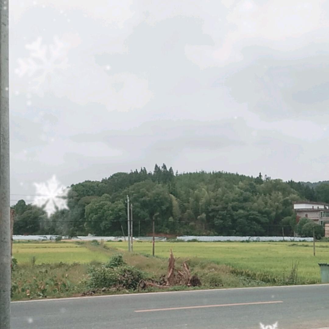 袁