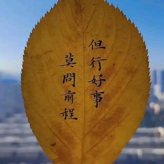 蔡徐张左