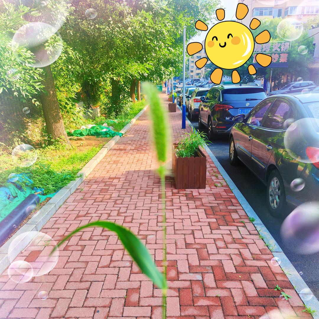 (っ˘зʕ•̫͡•ʔ