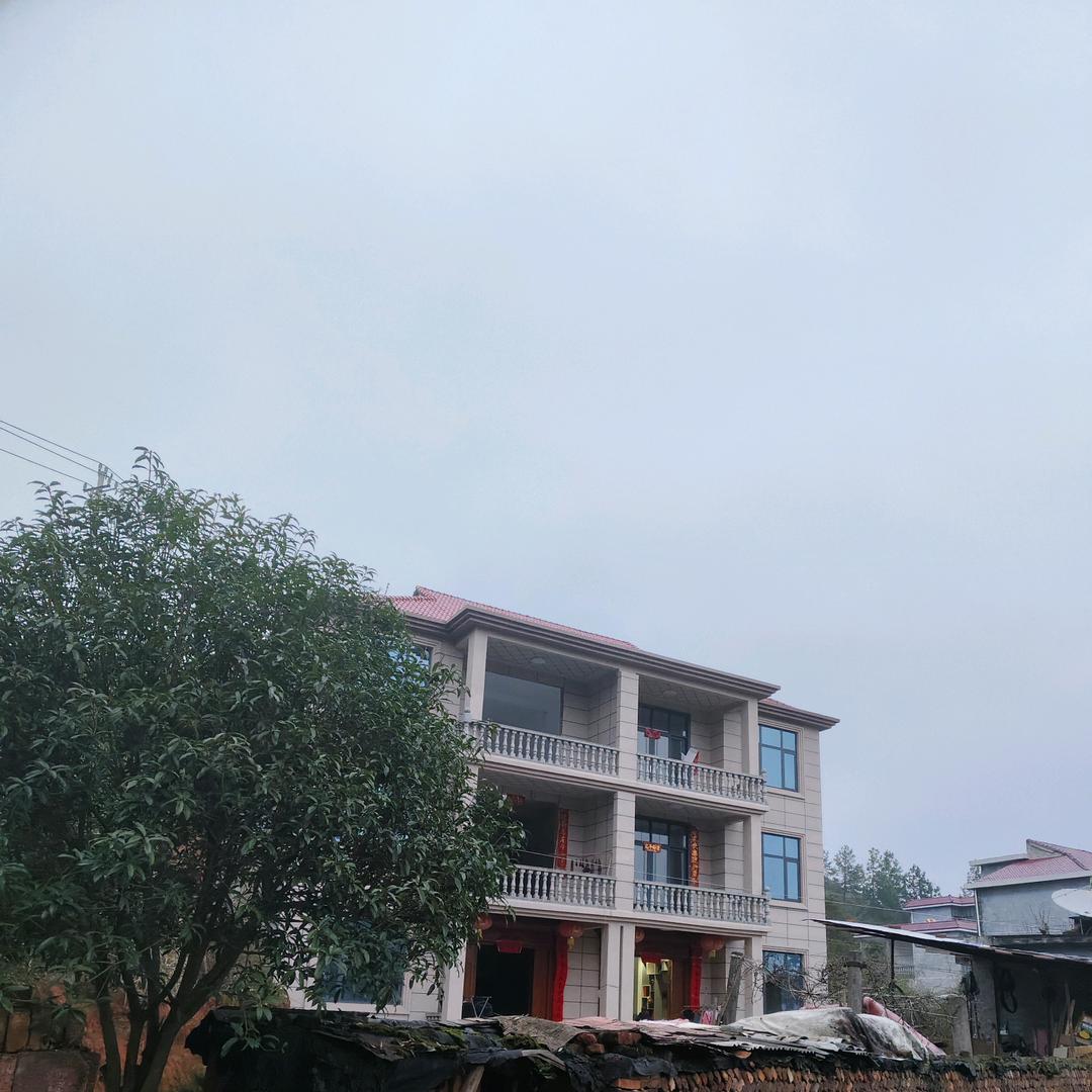 富龙