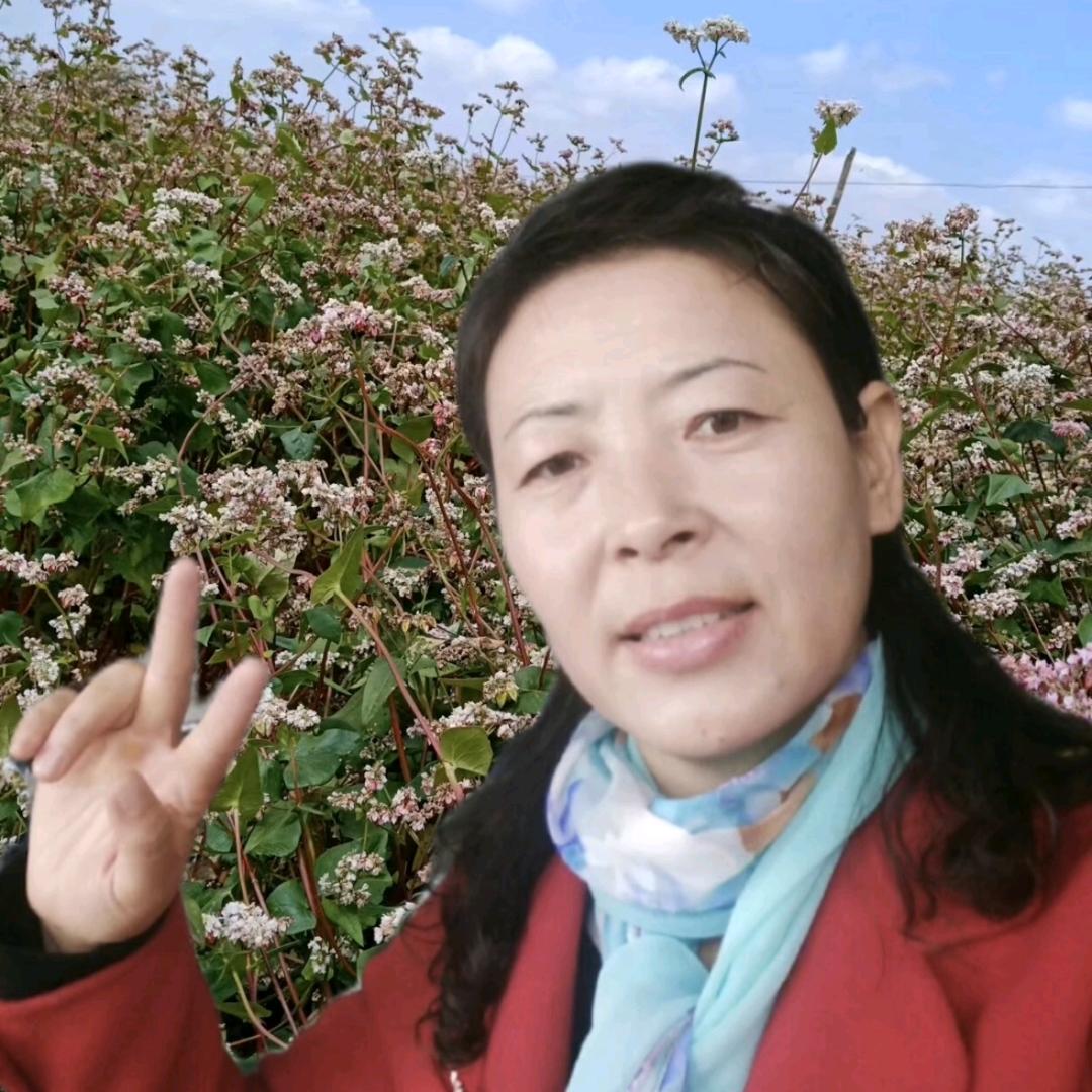 宁夏荞花姐