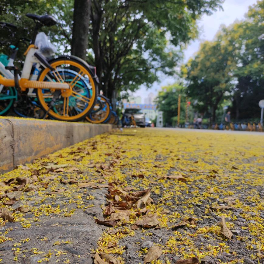 春风社的风知道我