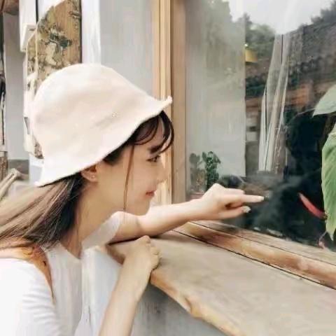 倔强的驴
