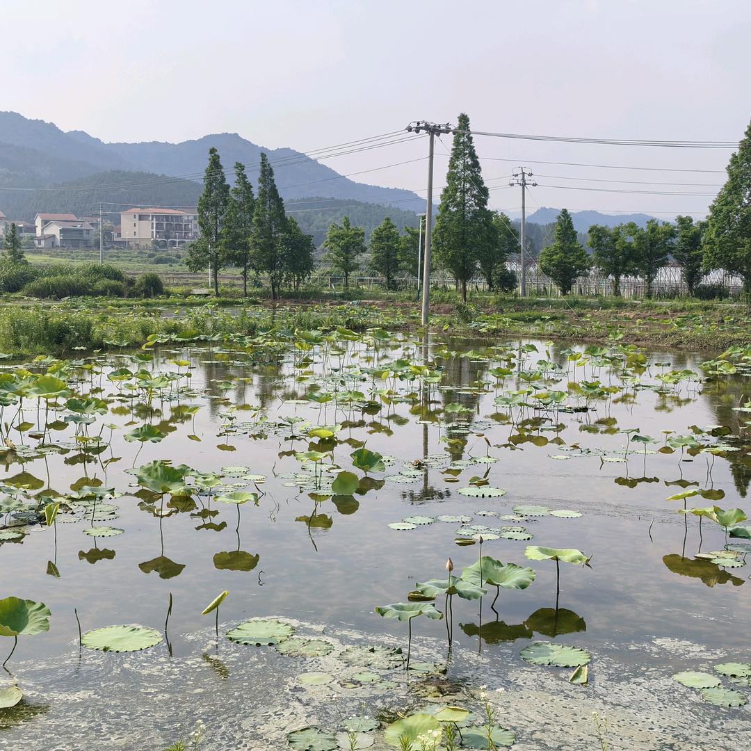 南门路社区新时代文明实践站