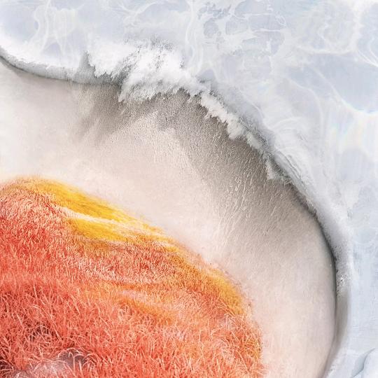 一切美好都会如期而至