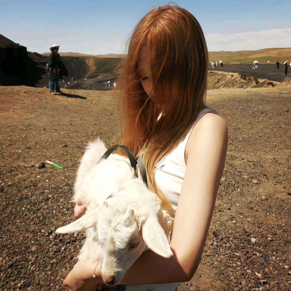 小魚泡泡