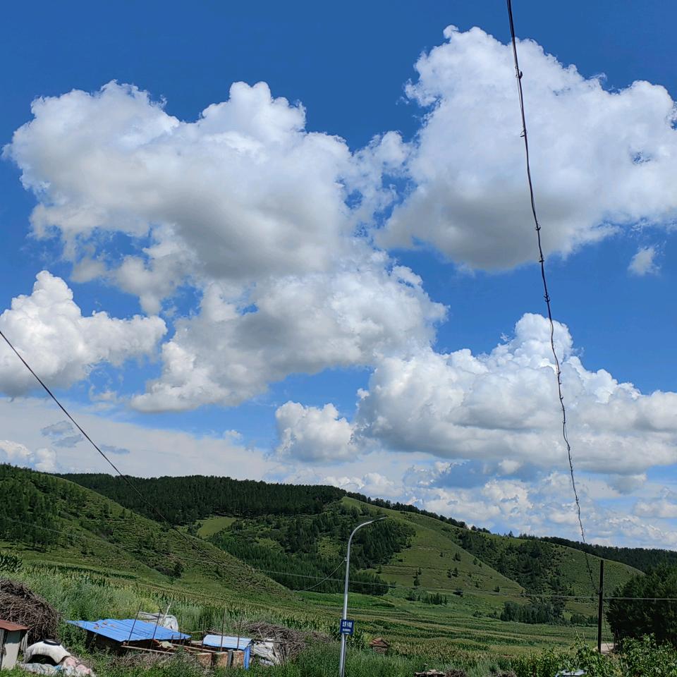 丁丁丁