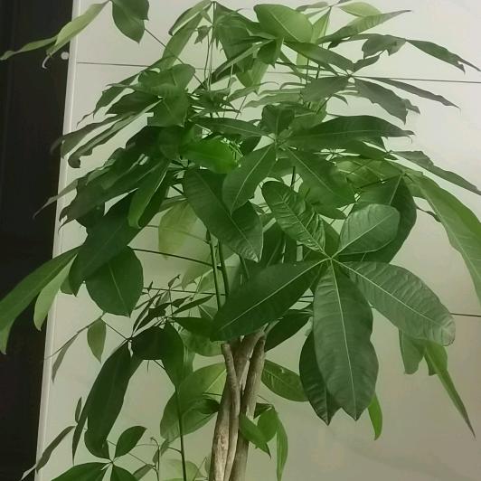 未来可期