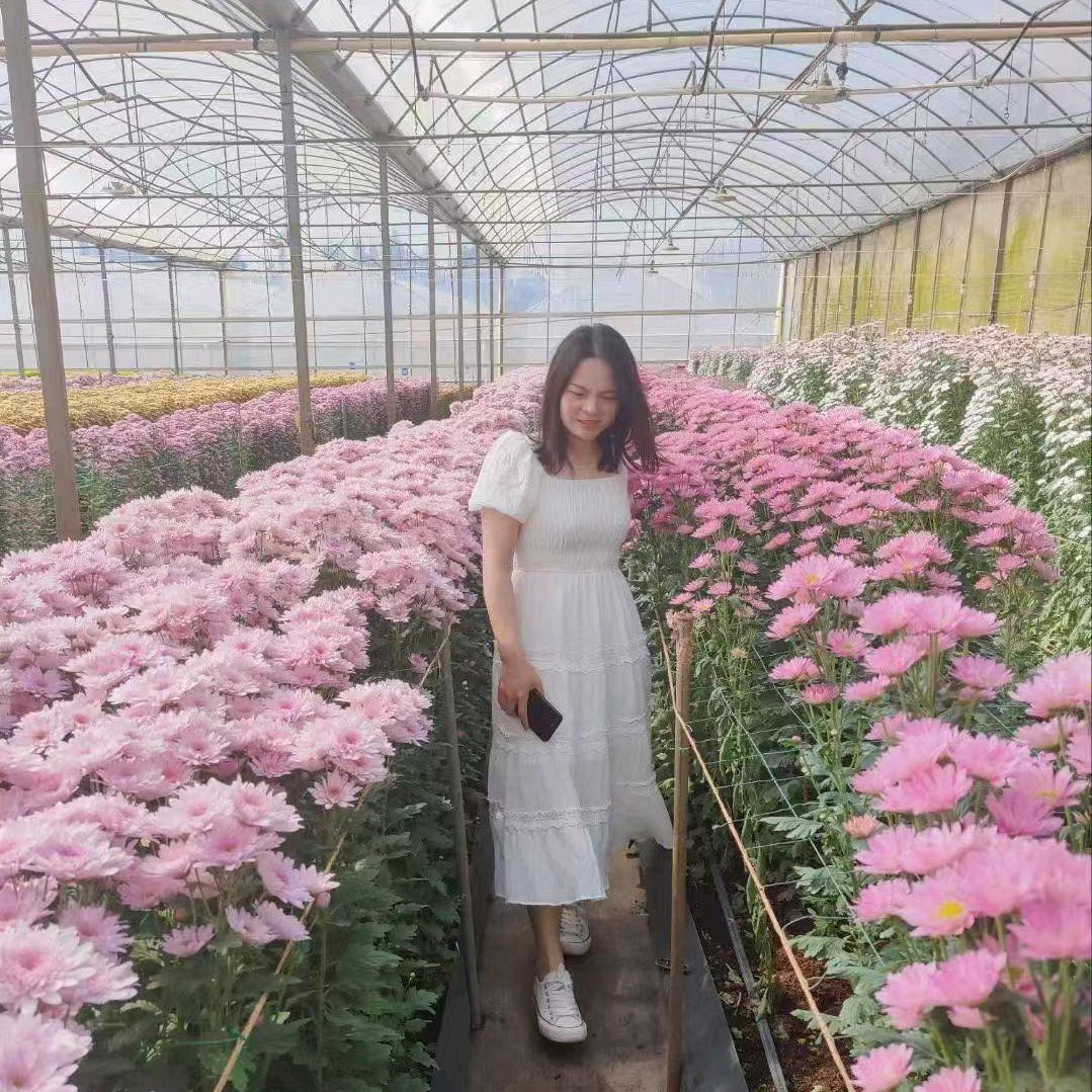 @王小草