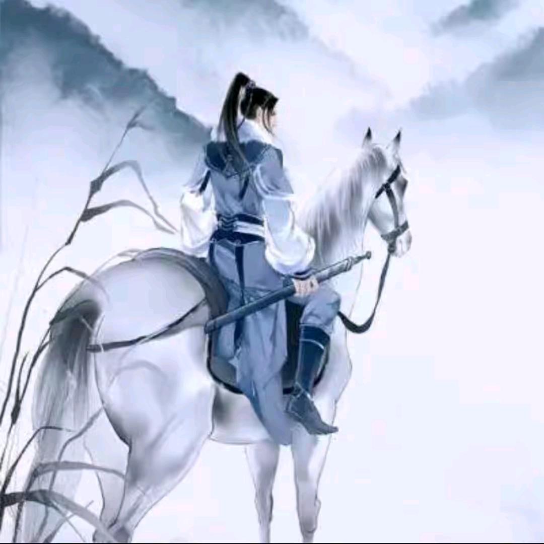 🇨🇳风