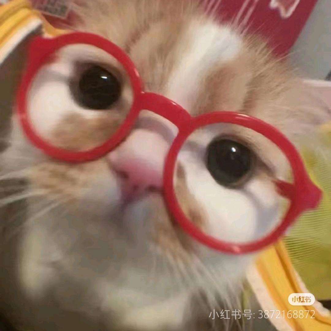美羊羊