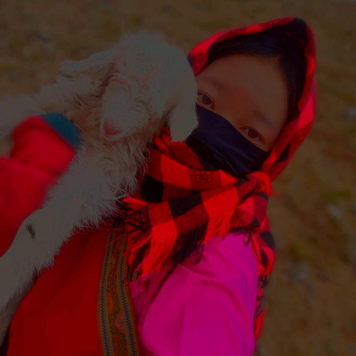 爱🐴王子