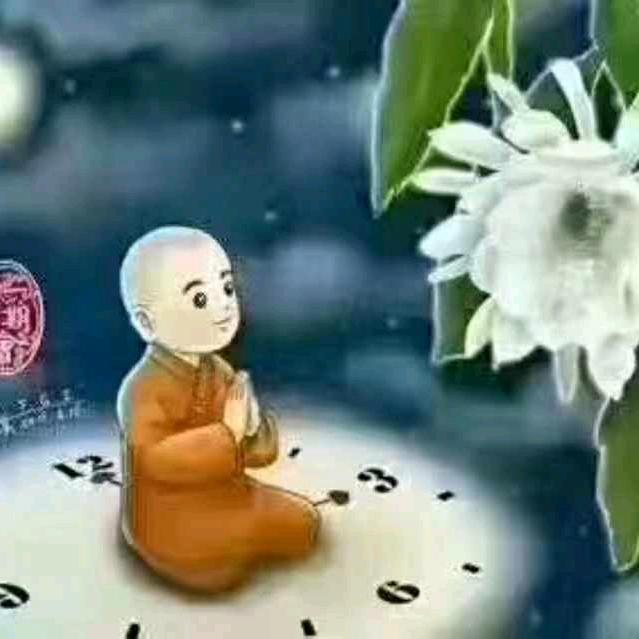 刘刘