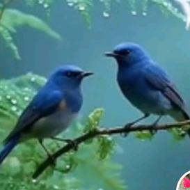 ❤️跑🐯着🎄玩！🤗