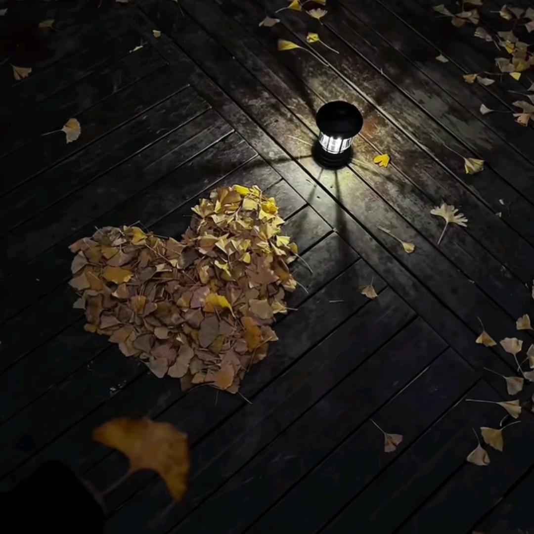 你說天長我递酒🍀