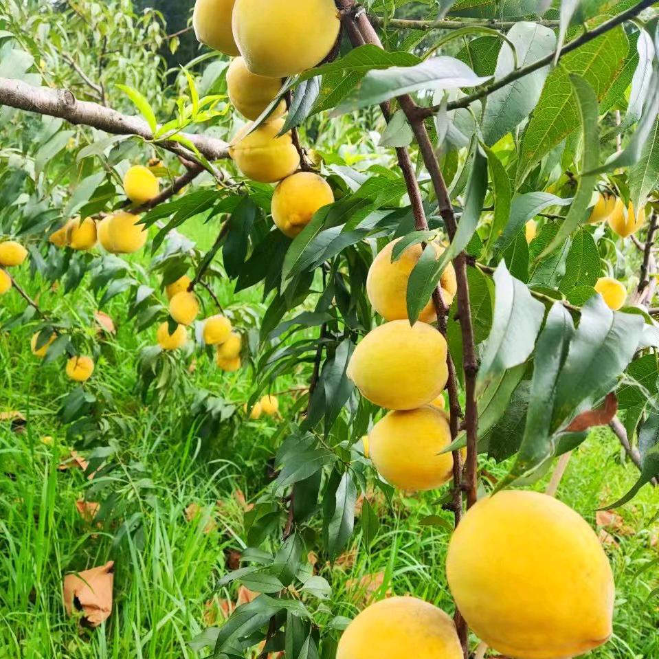 清风无别事，等风、也等你