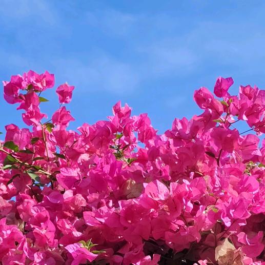 安溪县城厢镇林炳钊服饰经营部