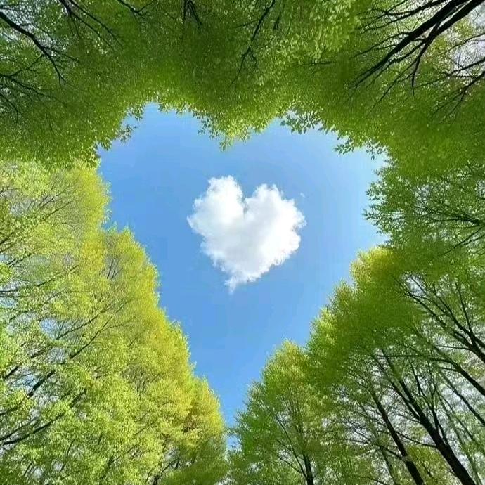 心若在-梦就在！