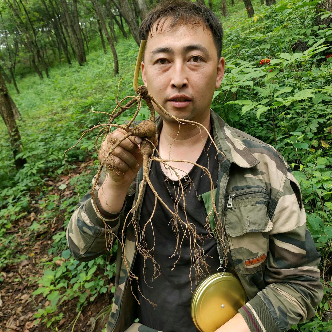长白山阿龙