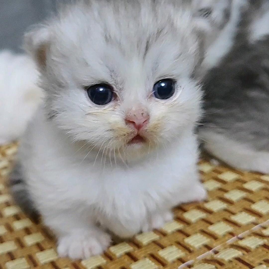 老磕碜了