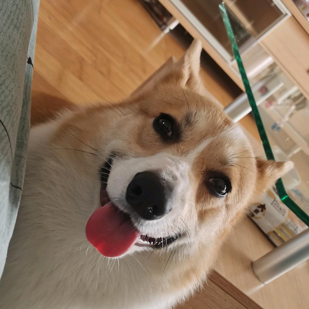 偷偷睡懒觉