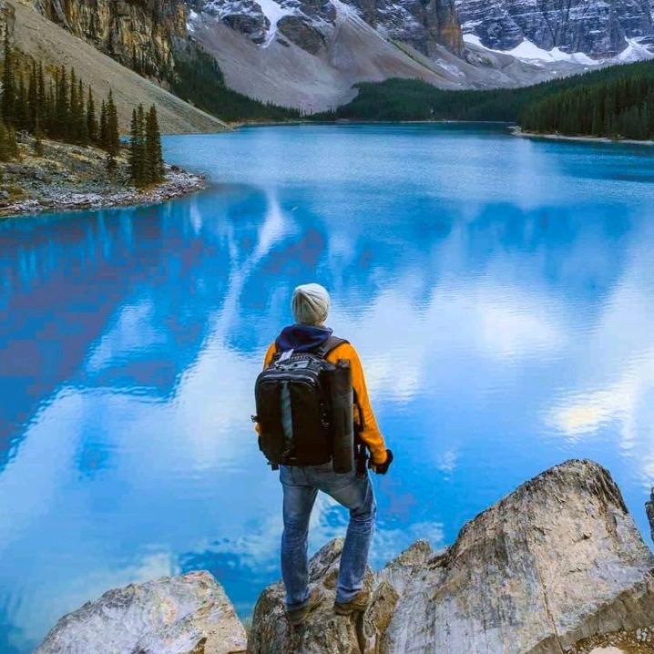 耗子扛刀🔪满街找猫