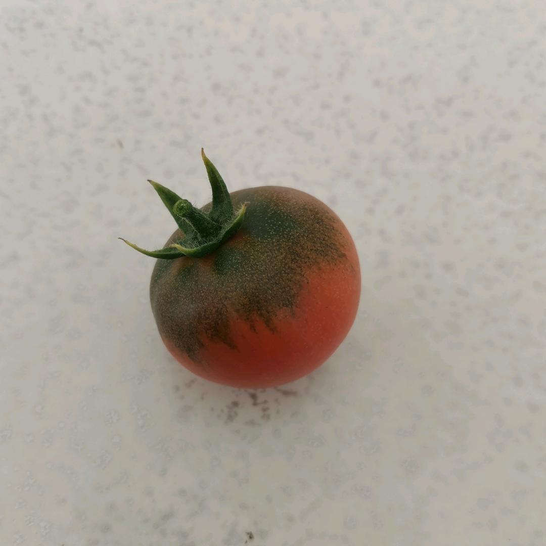 运气爆表的时候