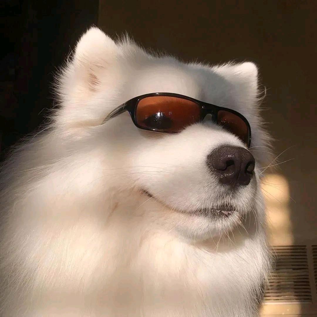 找不见^