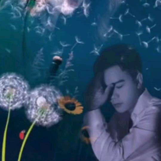 问世间，情为何物？