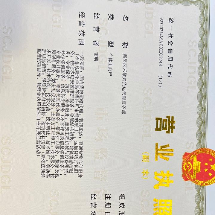 窦大侠