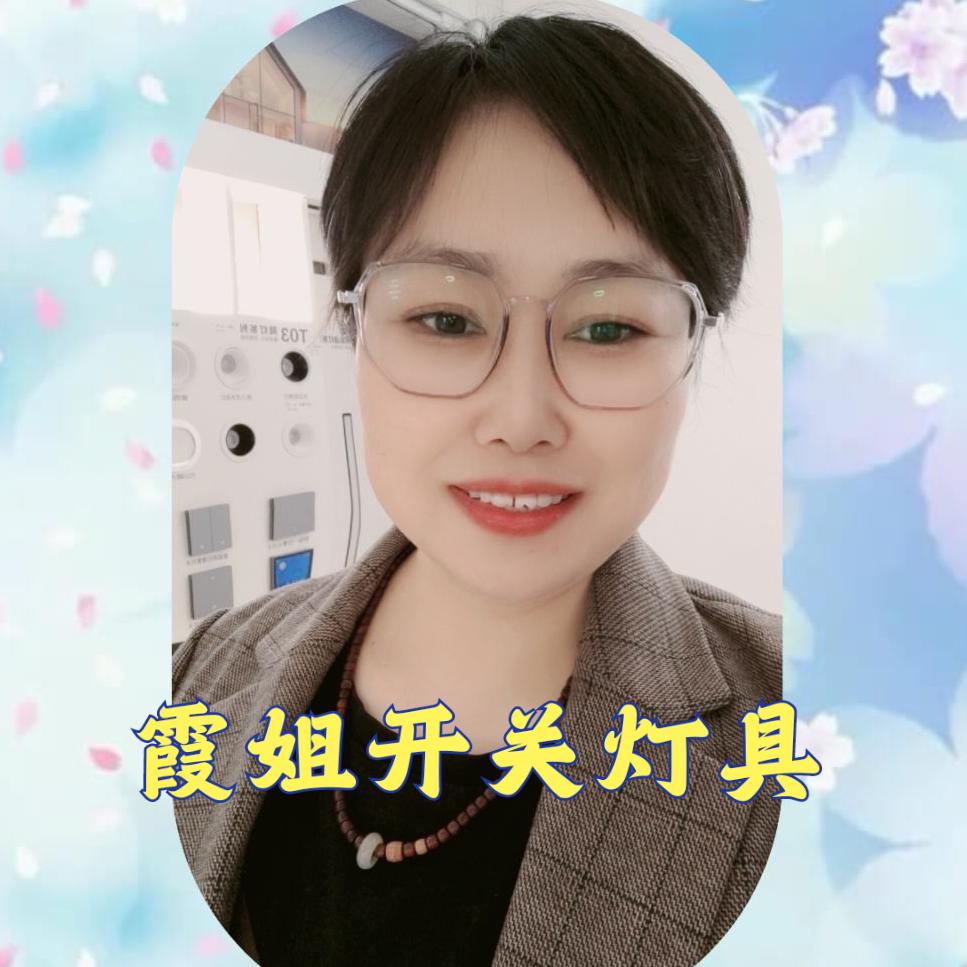 霞姐开关灯具
