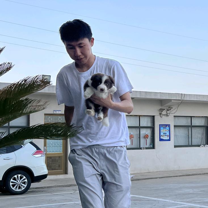 慌张