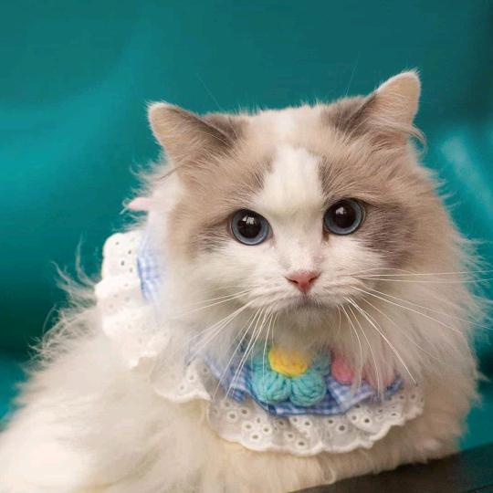 😎😎😎😎😎😎😎😎😎帅