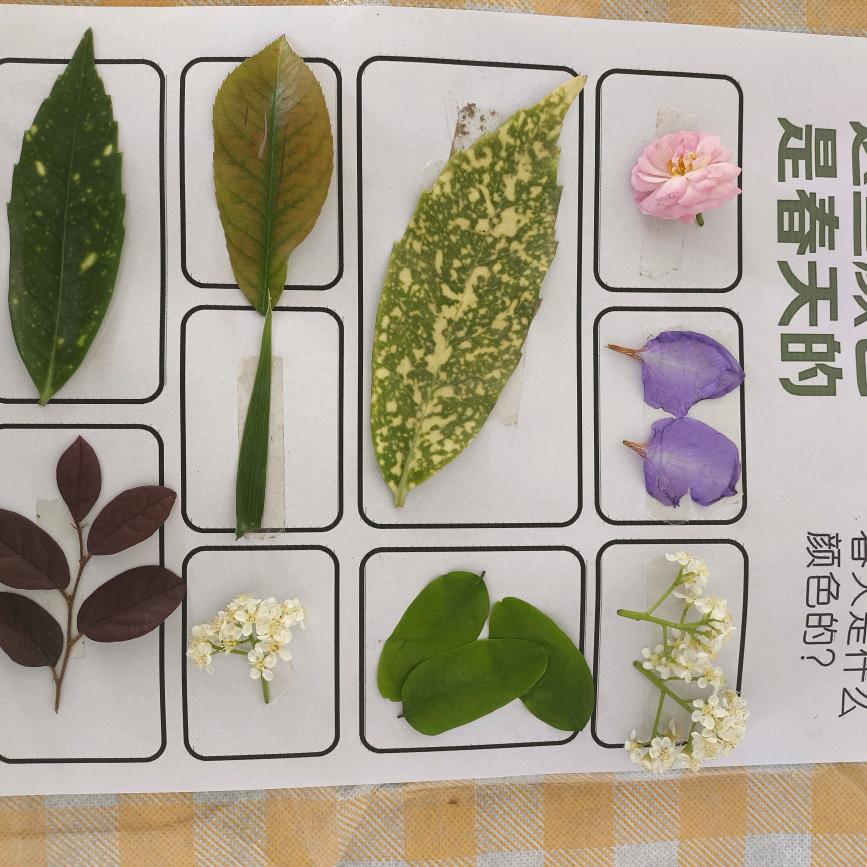 疯人院张主任😀