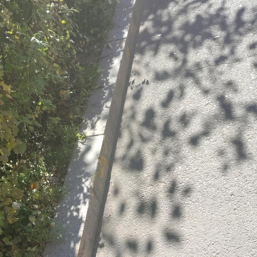 飘零