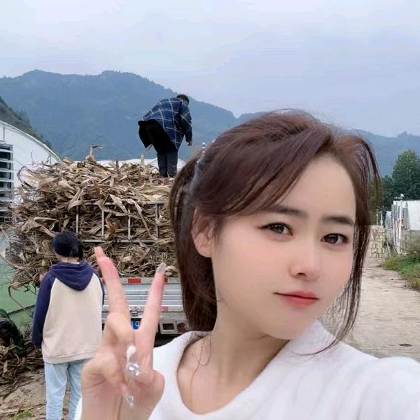 凤冈注册公司找诗诗