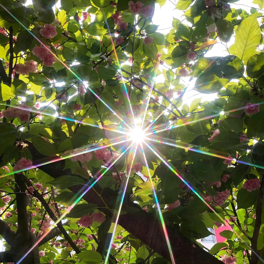 知足常乐ฅ՞•ﻌ•՞ฅ