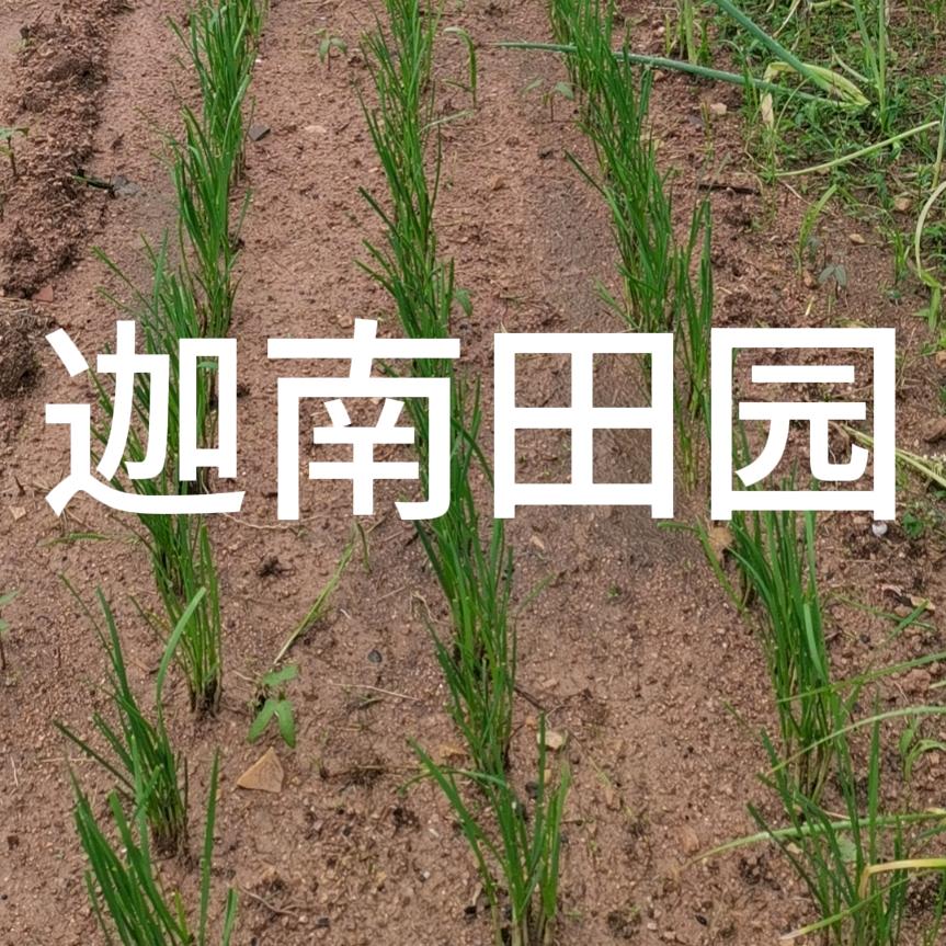 迦南田园共享菜园