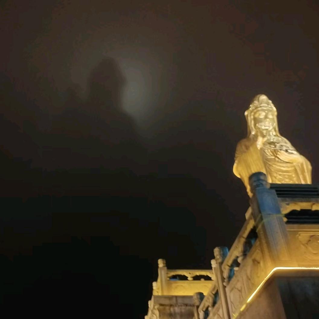 一心向善2号🌸🌸🌸